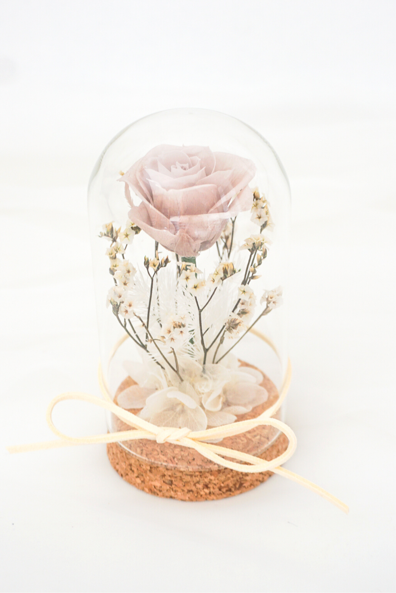 Mini Preserved Floral Glass Dome (Latte Rose, no lights)